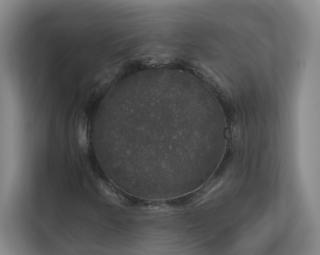 X0000112911250200908241159