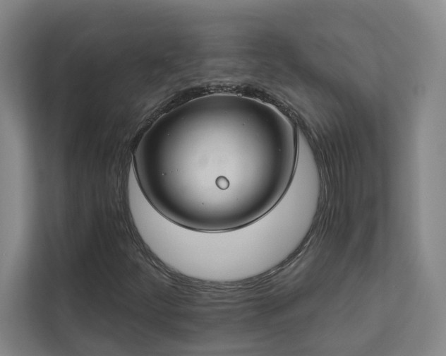 X0000112911252200908241159