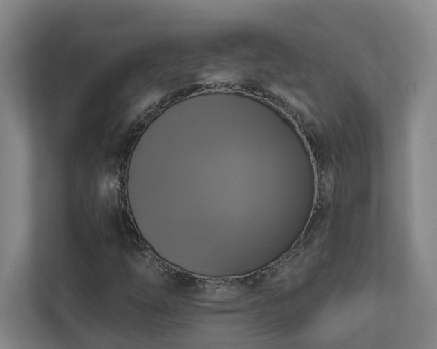 X0000112911254200908241159