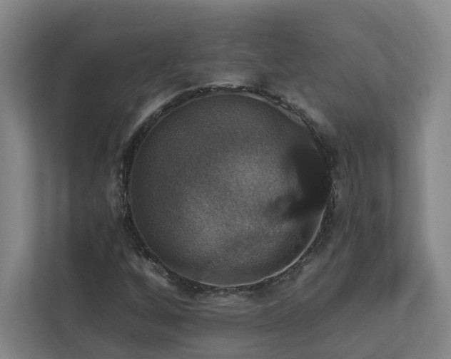 X0000112911256200908241159
