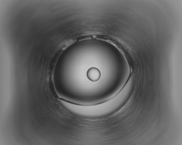 X0000112911257200908241159