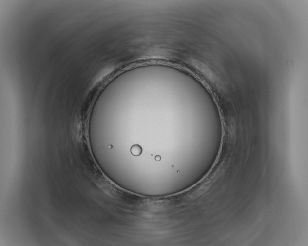 X0000112911258200908241159