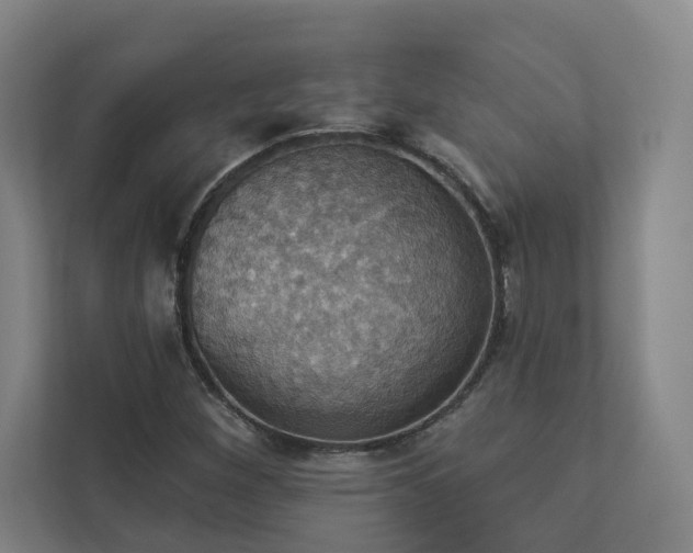 X0000112911260200908241159