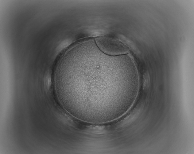 X0000112911261200908241158