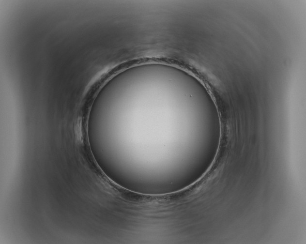 X0000112911262200908241158