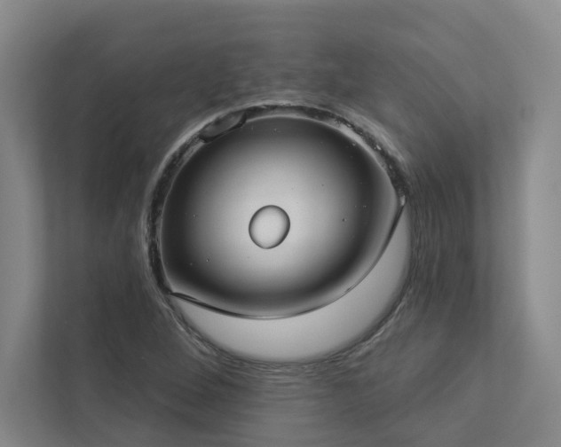 X0000112911264200908241158