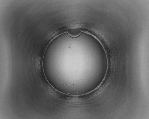 X0000112911265200908241158