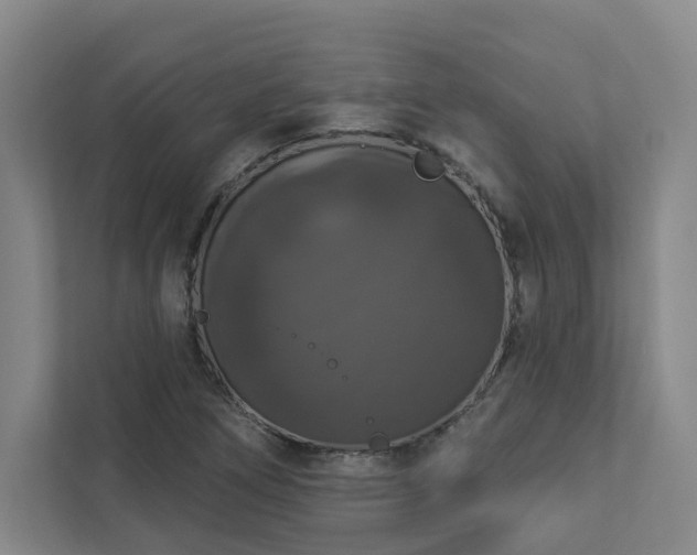 X0000112911266200908241158