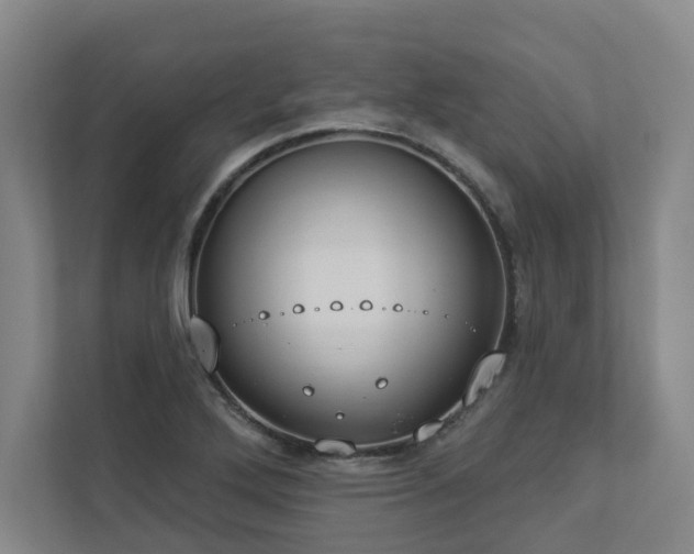 X0000112911272200908241158