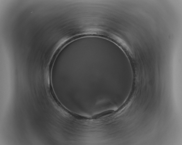 X0000112911275200908241158