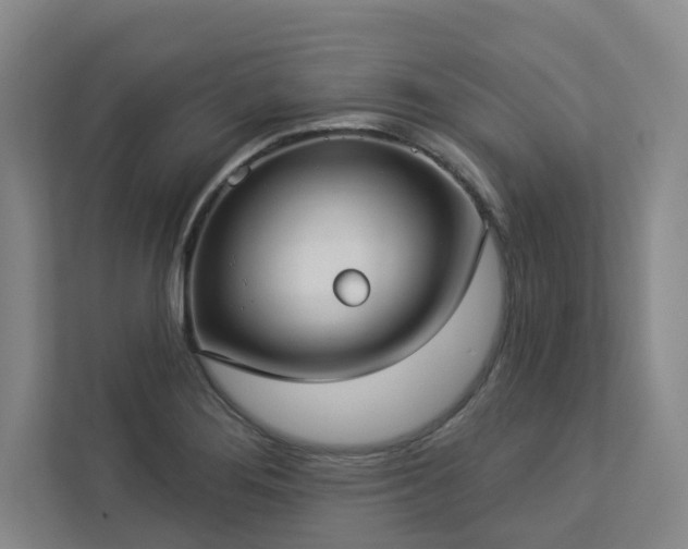 X0000112911276200908241158