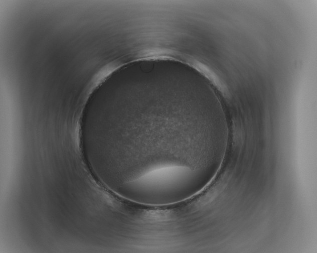 X0000112911277200908241158