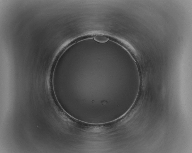 X0000112911279200908241158