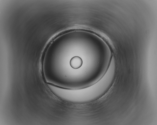 X0000112911280200908241158