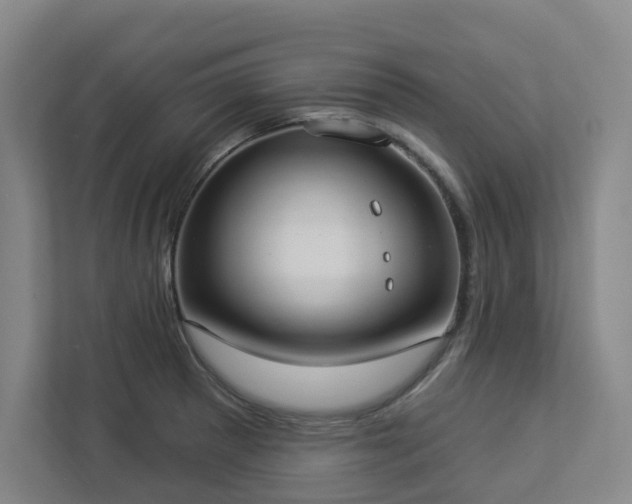 X0000112911281200908241158