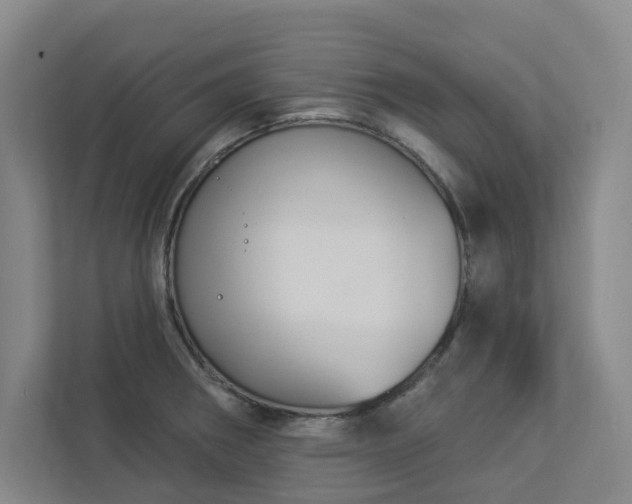 X0000112911282200908241158