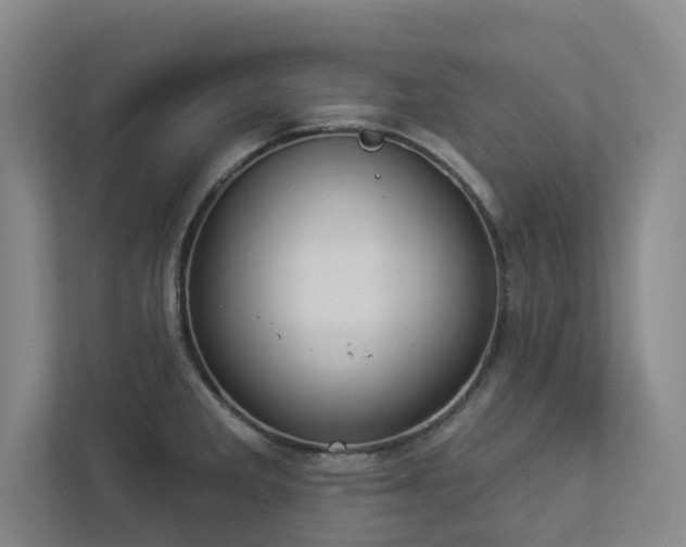 X0000112911285200908241158