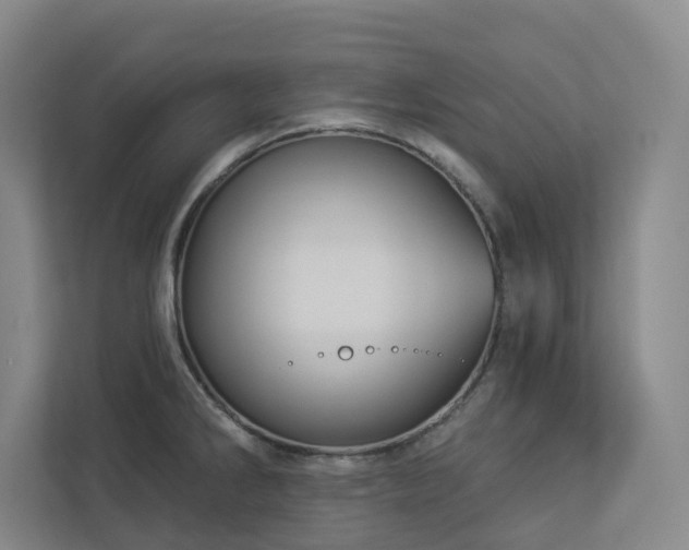 X0000112911286200908241158