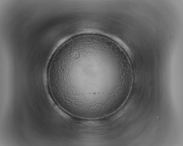 X0000112911287200908241158