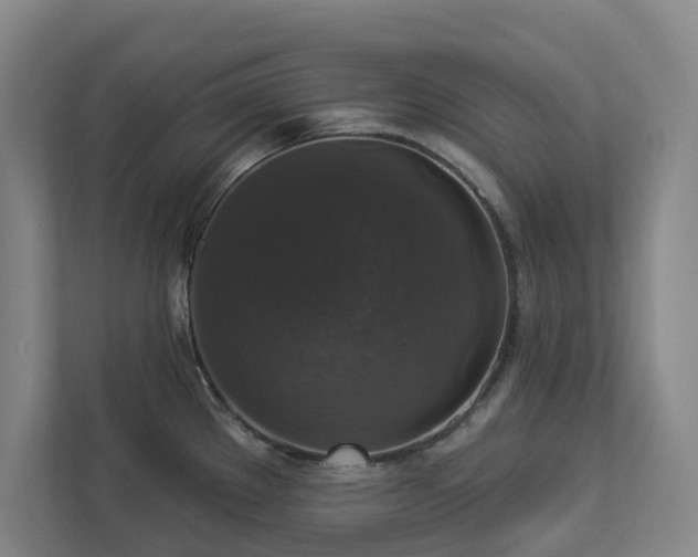 X0000112911289200908241158
