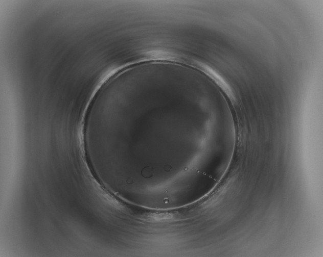 X0000112911291200908241158