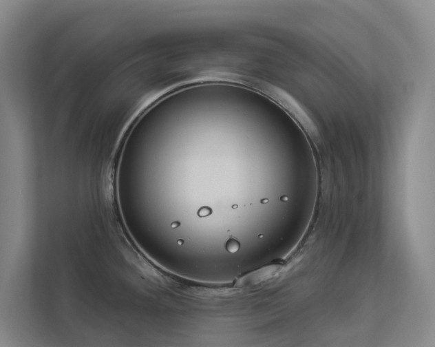X0000112911292200908241158