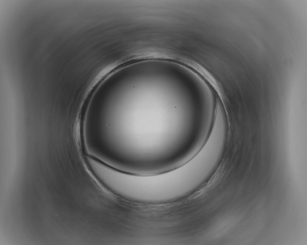 X0000112911293200908241158