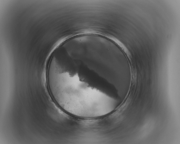 X0000112911294200908241158