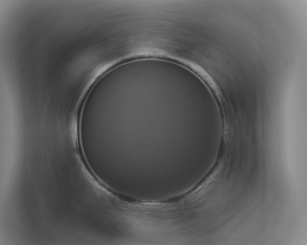 X0000112911295200908241158
