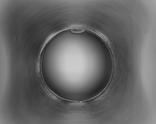 X0000112911296200908241158