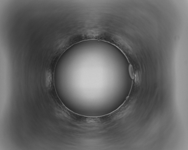 X0000112911299200908241157