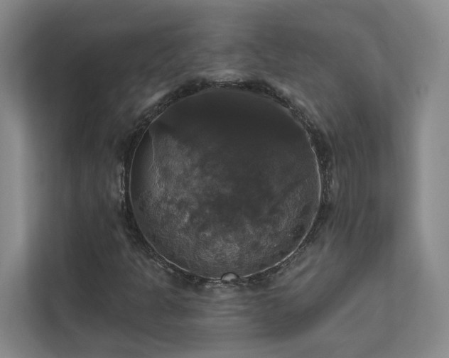 X0000112911301200908241157