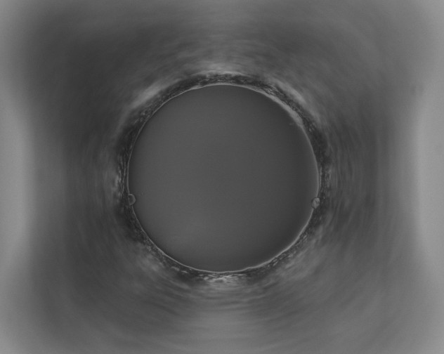 X0000112911303200908241157