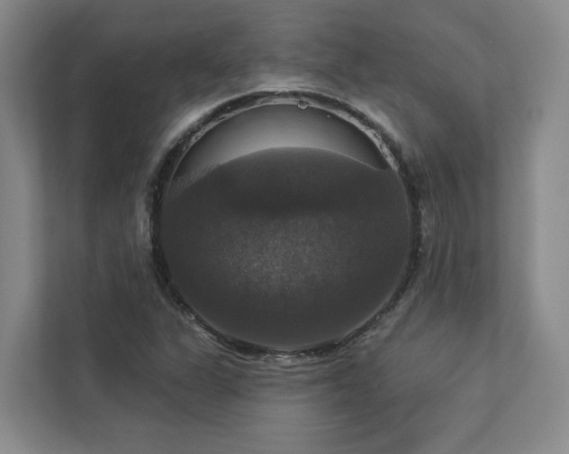 X0000112911311200908241158