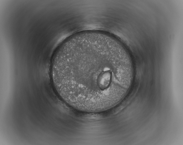 X0000112911314200908241158