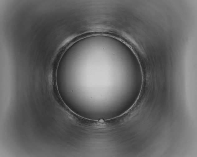 X0000112911315200908241158