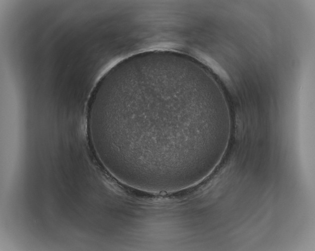 X0000112911316200908241158