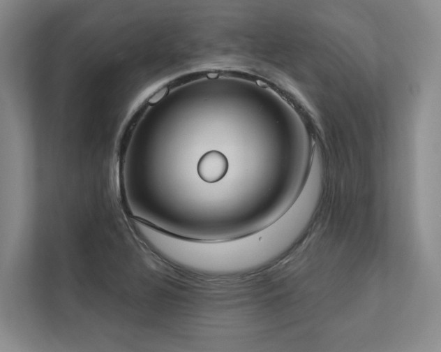 X0000112911320200908241158