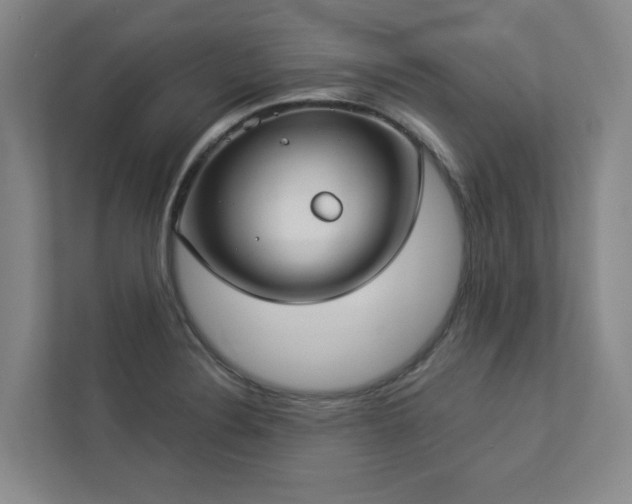 X0000112911324200908241158