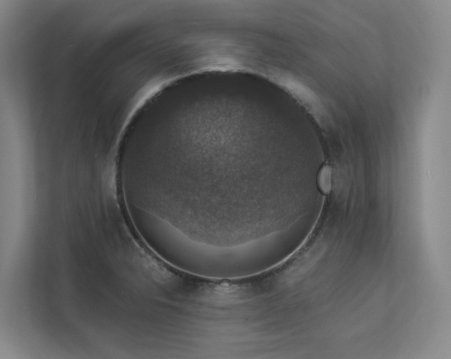 X0000112911326200908241158