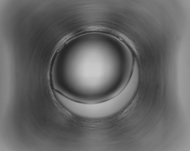 X0000112911330200908241158