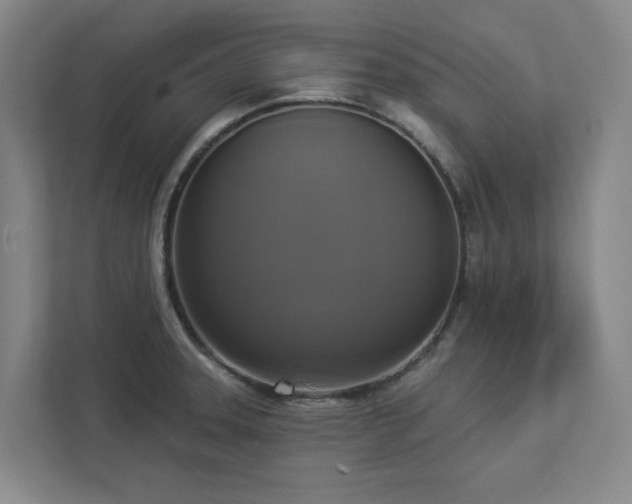 X0000112911331200908241158