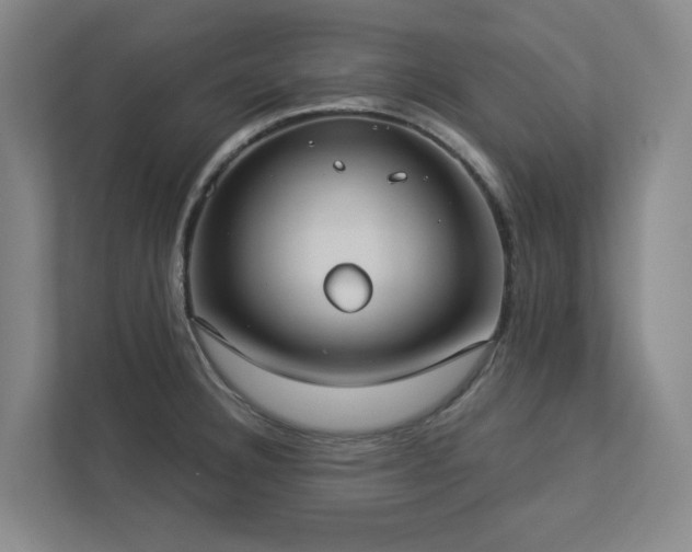 X0000112911332200908241158
