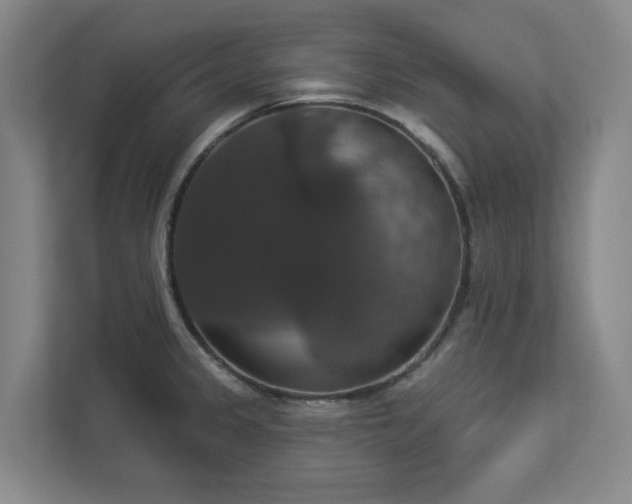 X0000112911333200908241158