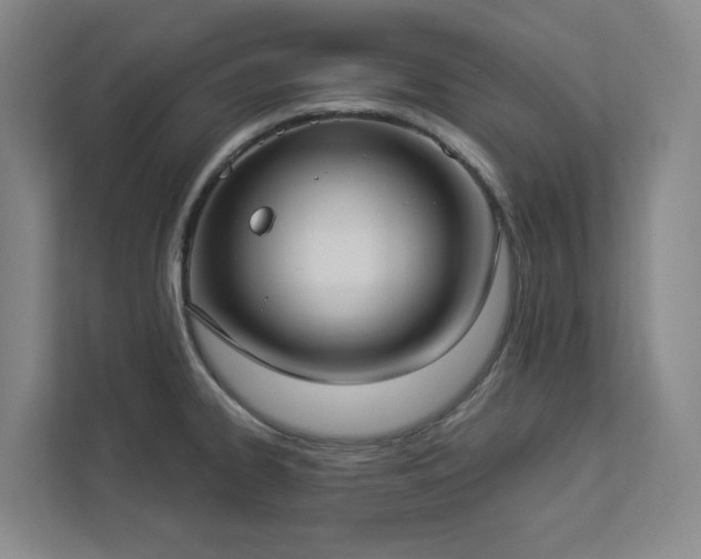 X0000112911334200908241158