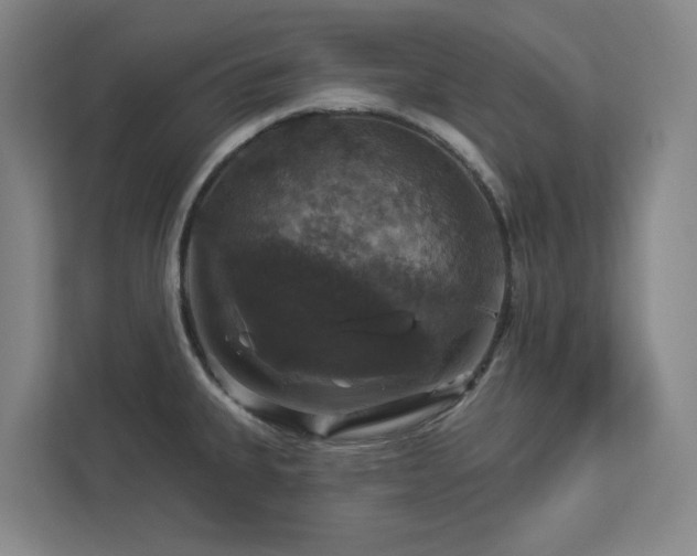 X0000112911335200908241158