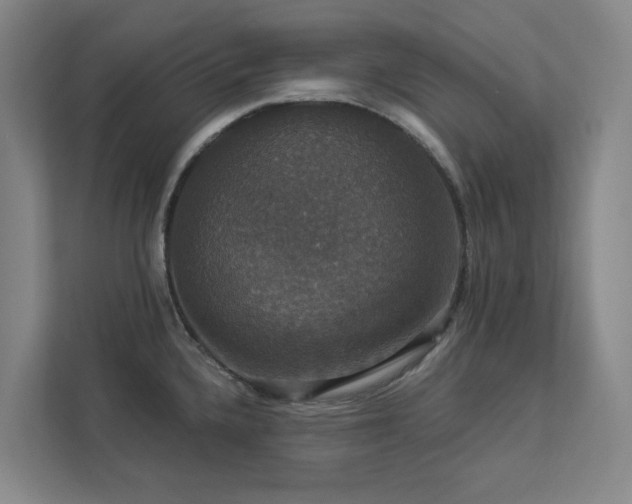 X0000112911336200908241158