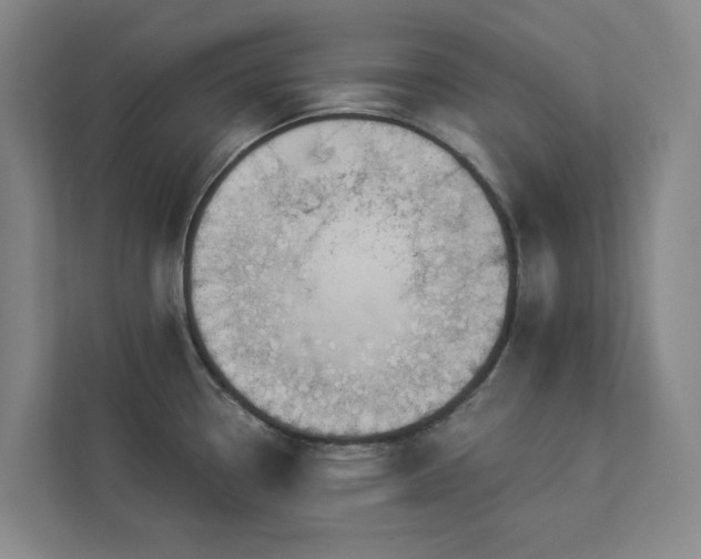 X0000112911338200908241158