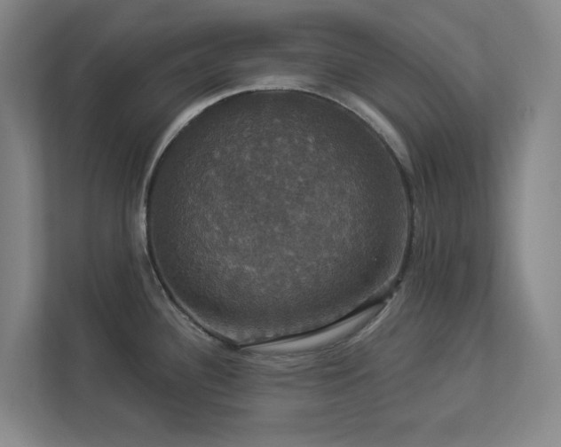 X0000112911340200908241158