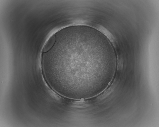 X0000112911342200908241158